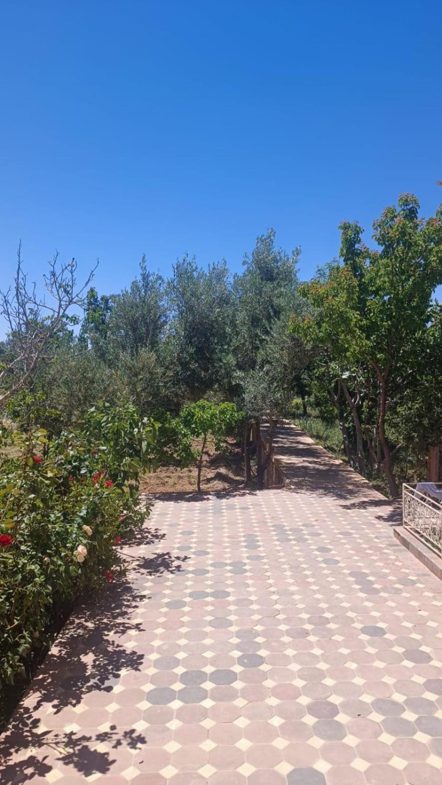 Chez L'Habitant Amazigh Ouarzazate Eksteriør billede