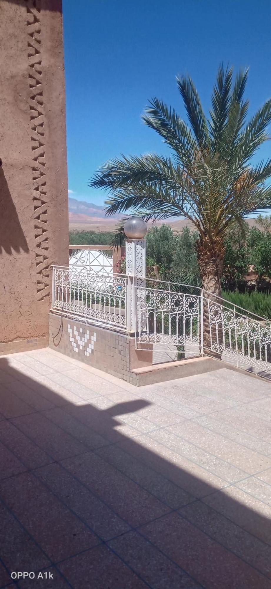Chez L'Habitant Amazigh Ouarzazate Værelse billede