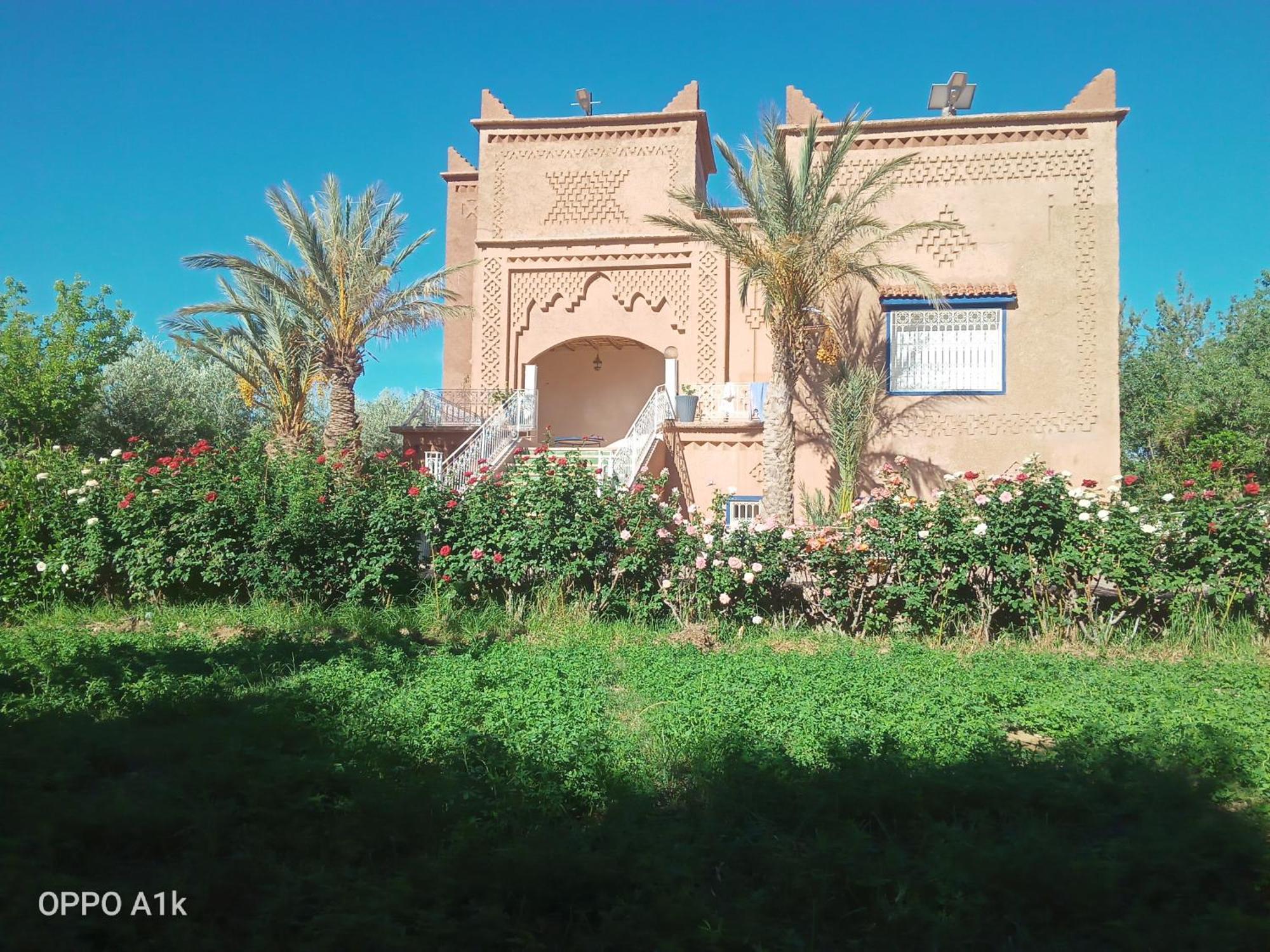 Chez L'Habitant Amazigh Ouarzazate Eksteriør billede
