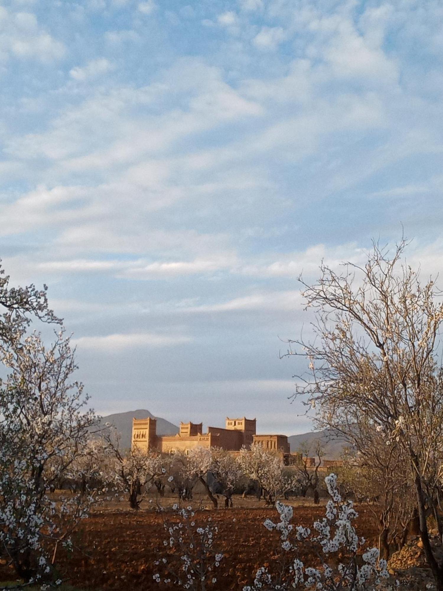 Chez L'Habitant Amazigh Ouarzazate Eksteriør billede